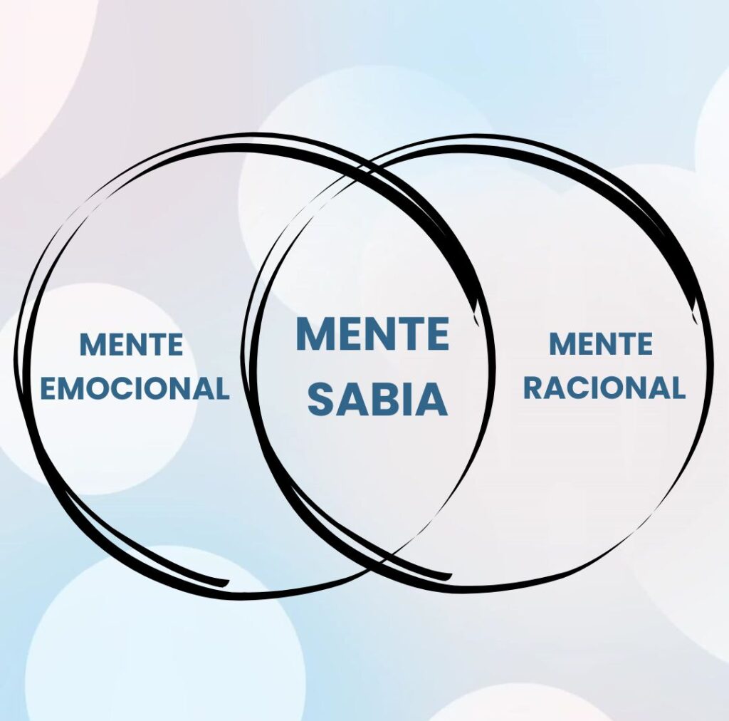La mente emocional, racional y sabia: un equilibrio para tu bienestar